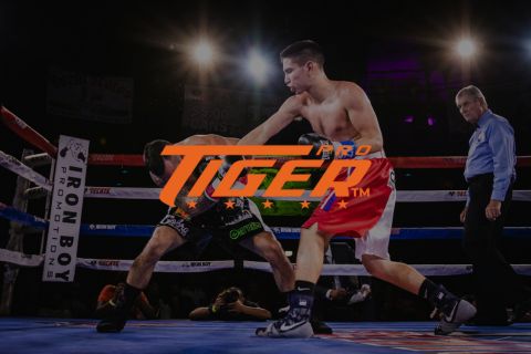 Tiger Pro Fight Shop Wordpress Website